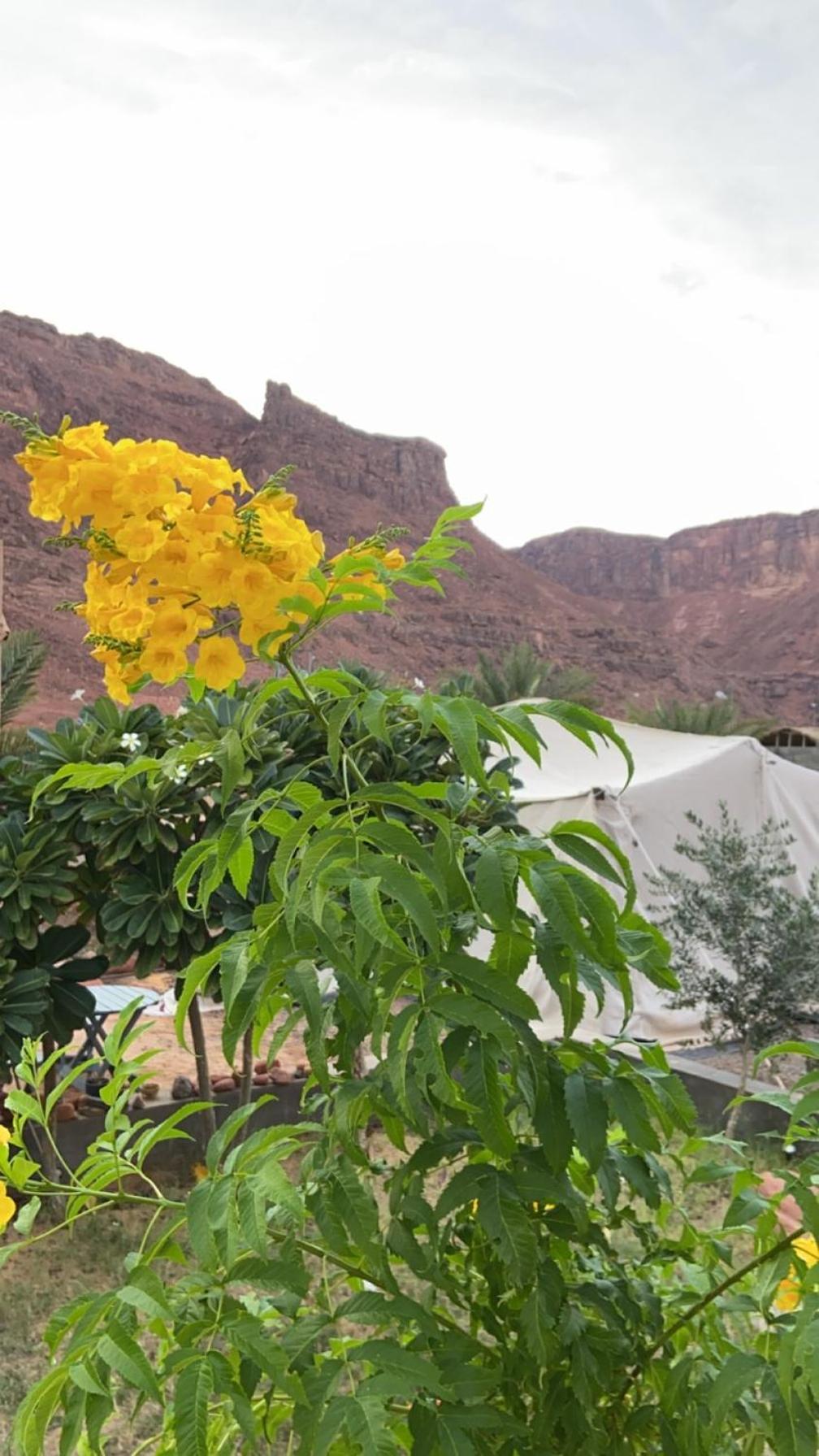 הוילה אל אולה Mountain House מראה חיצוני תמונה
